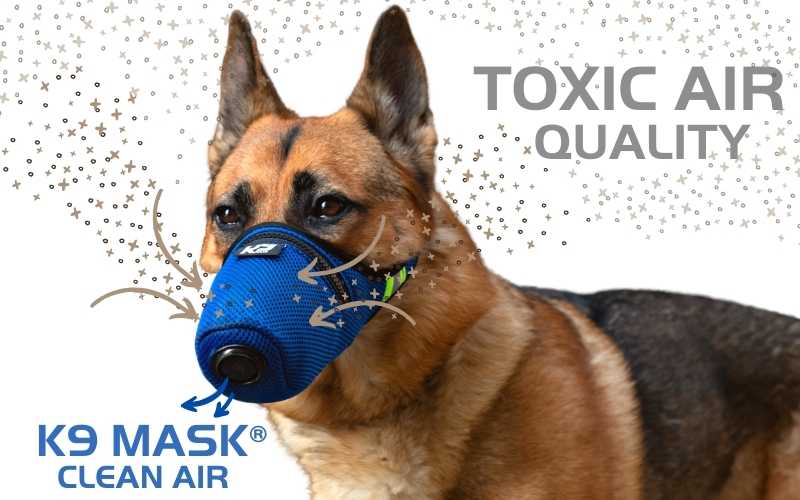 K9 Mask Air Filter for Dogs in Toxic Air Quality AQI smoke wildfire chemicals ash dust respirator