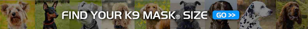 Find K9 Mask size to fit dog muzzle