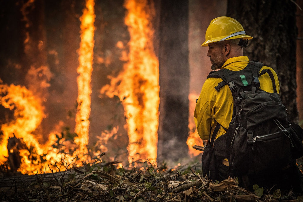 Сезон лісових пожеж у Каліфорнії - небезпека та дим 2021