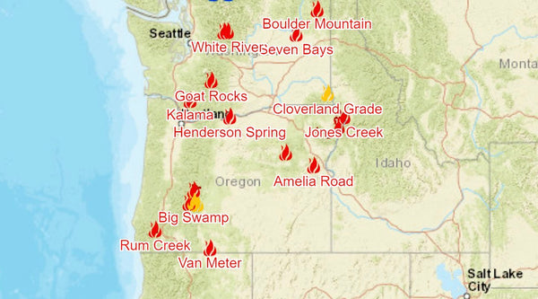 Dog health impact in pacific northwest wildfire smoke