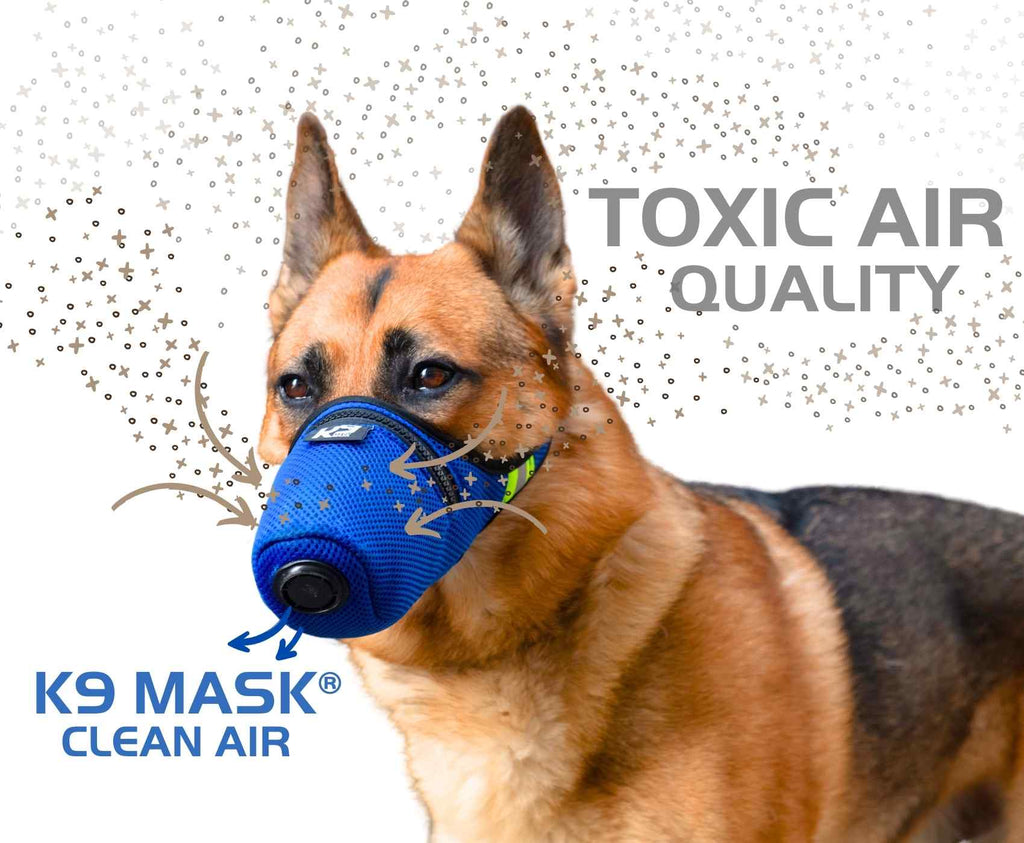 K9 Masker Pm2.5 Extreem ademen Giftige luchtkwaliteit Hondenluchtfilter voor natuurbrandrook, stof, as, chemicaliën, traangas, allergenen, rode vloed, bacteriën