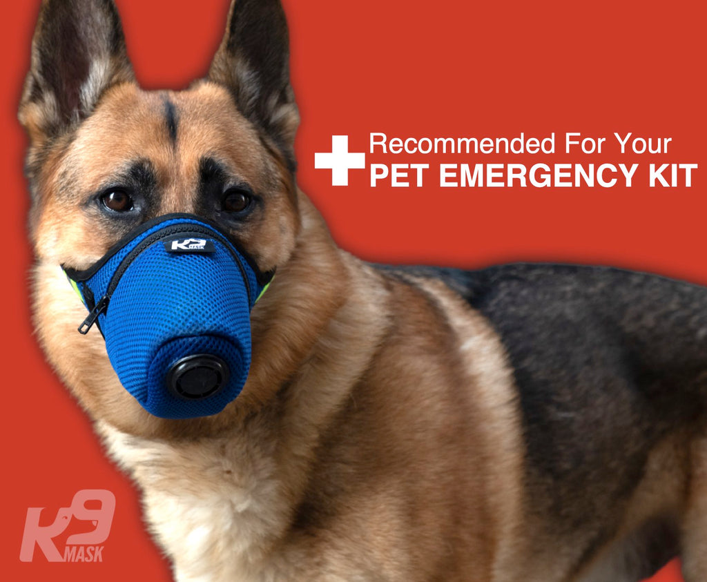 Dog emergency bug out bag kit for air filter mask for dogs gear