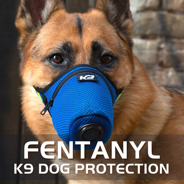 K9 Mask Air Filter Mask for Dog Protection from Fentanyl Poisoning.