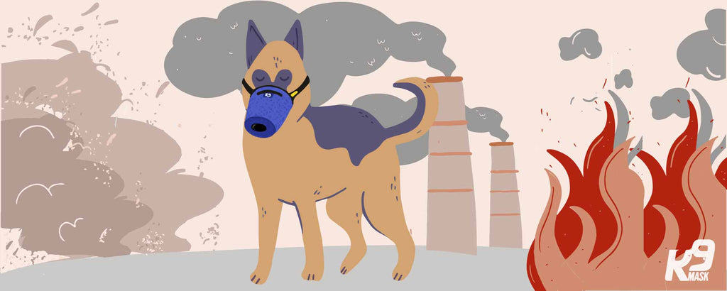 K9 Mask protects dogs from smoke, dust, ash, toxins, chemicals, bacteria, and smog