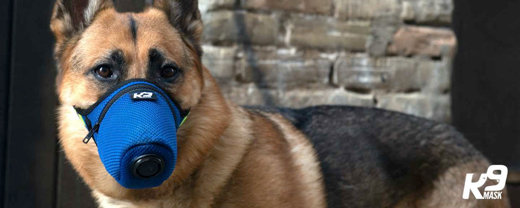 K9 Mask Air Filter Face Mask for Dogs