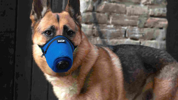 K9 Maske strålingssikkerhedsluftfilter N95 maske til hunde