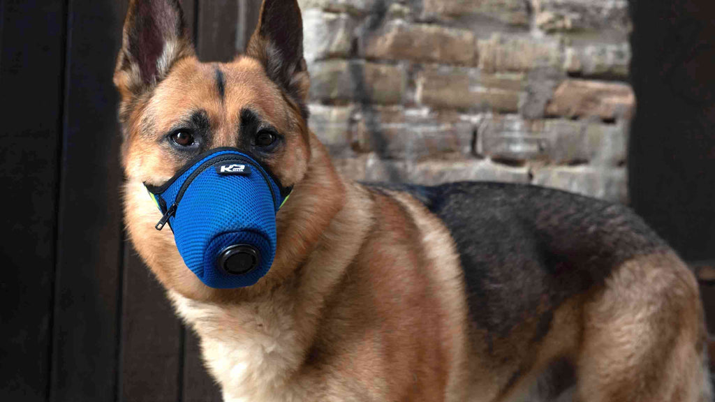 K9 Mask-ademhalingsapparaat voor hondenluchtfilter lost het probleem van natuurbrandrook voor huisdieren op