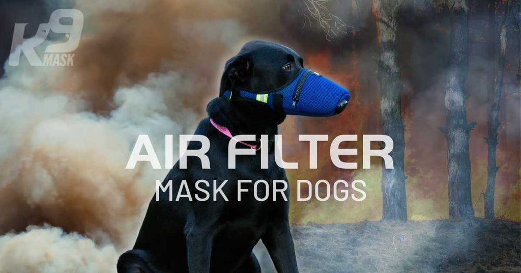 Μάσκα αερίου K9 Mask ενεργού άνθρακα N95 για την υγεία των σκύλων in voc