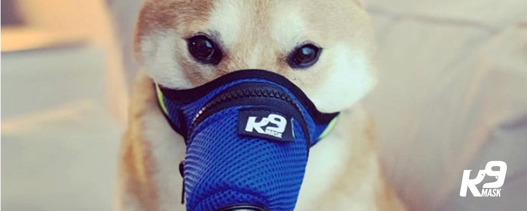Відгуки про маску K9 - Фільтровальна маска для забруднення повітря