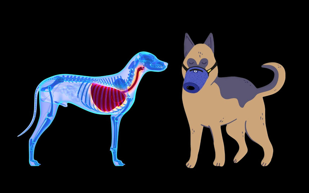 Sundhedsrisici for hunde i forbindelse med røg, aske, støv, rødvande, tåregas og virus