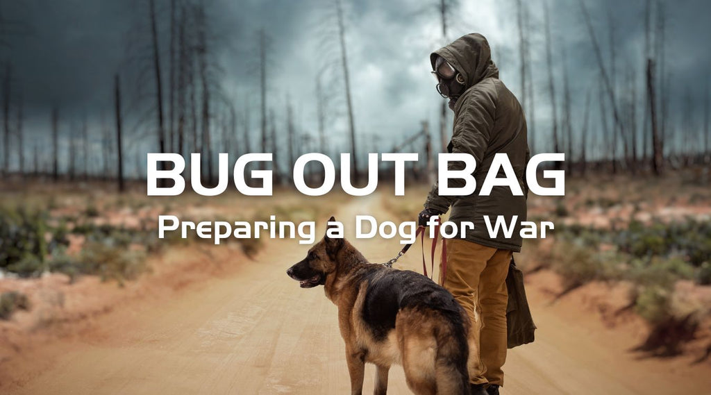 Τσάντα έκτακτης ανάγκης για σκύλους που προετοιμάζονται για την ώρα του πολέμου