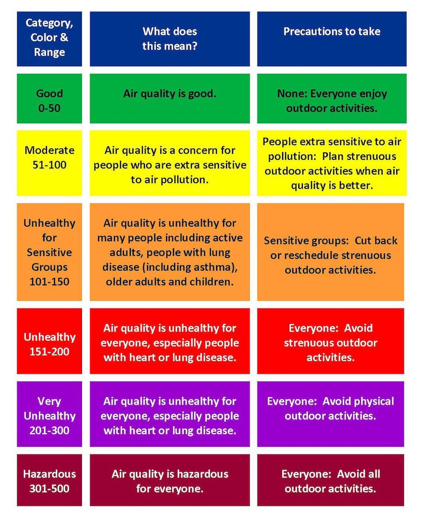 Air Quality Index (AQI) Basics for Your Dog