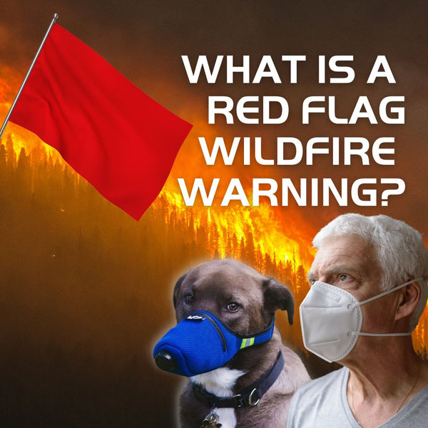 Що_таке_червоний_прапор_лісова пожежа_попередження_собаки_домашні_домашні_люди