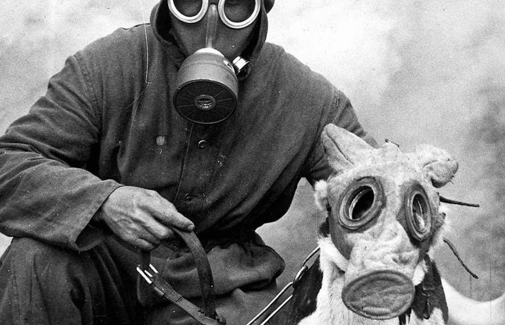 Dog Gas Mask for Chemical Smoke Tear Gas Toxic Air Military History