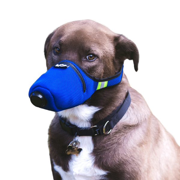 máscara filtro de poluição do ara cães