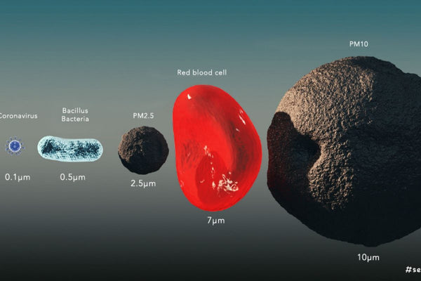 What is the particulate particle size of PM2.5