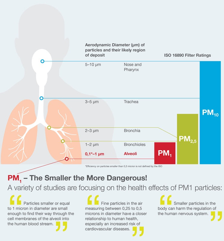 Particulate Matter Size Impact on Lung Health in Dogs and People