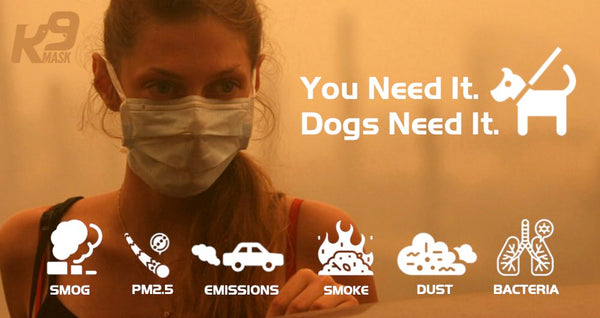 कुत्तों के लिए वायु फ़िल्टर प्रदूषण मास्क - धुआँ धूल रसायन बैक्टीरिया मोल्ड और राख