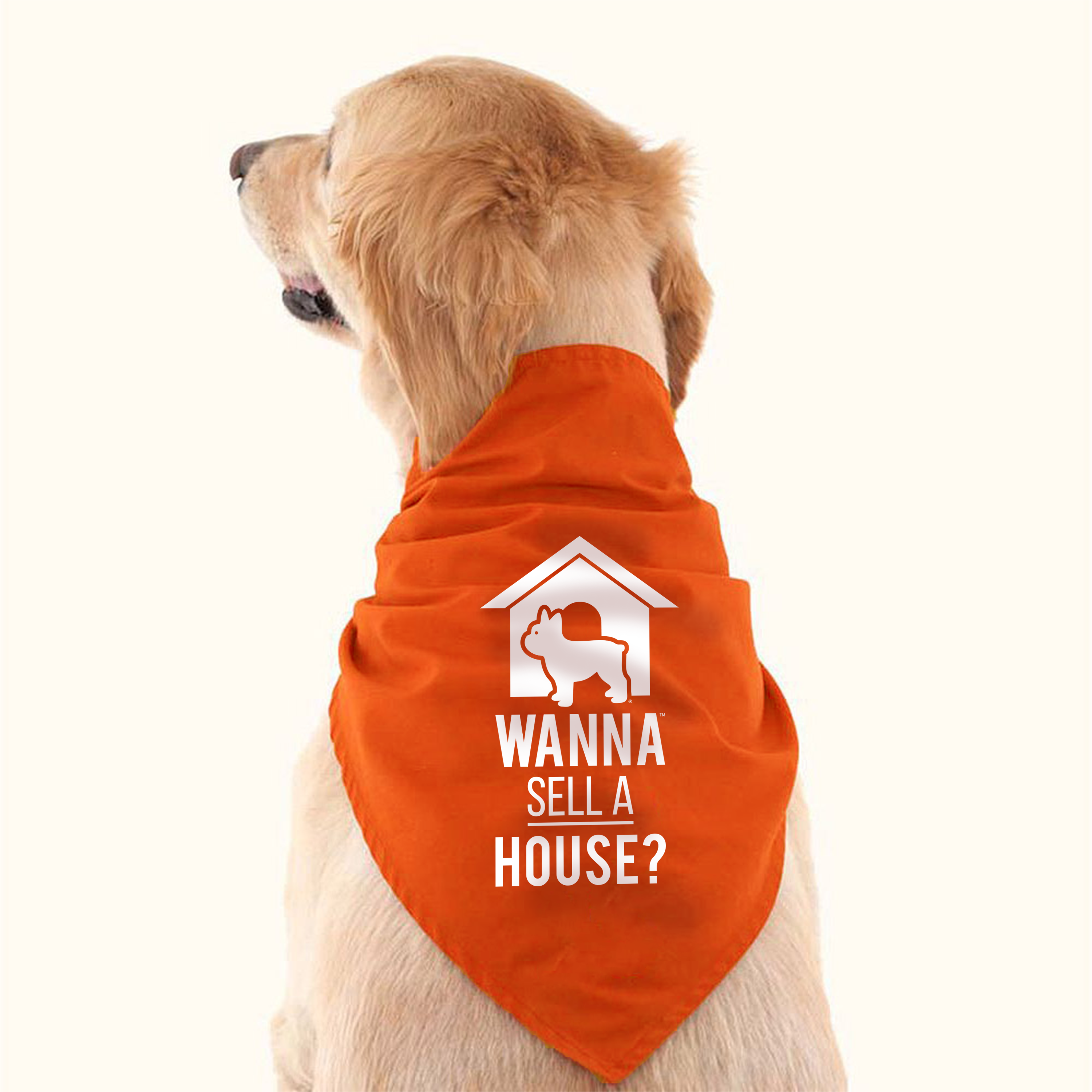 orange dog bandana