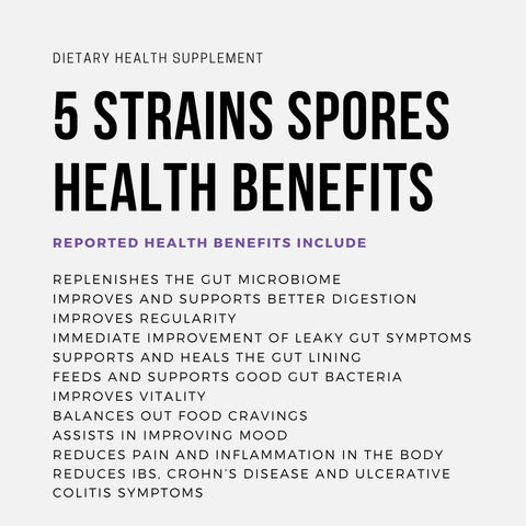 Health benefits of the 5 key strains of Spores in FLORISH
