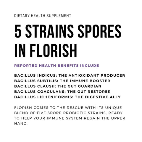The 5 Strains in FLORISH Spore Probiotic