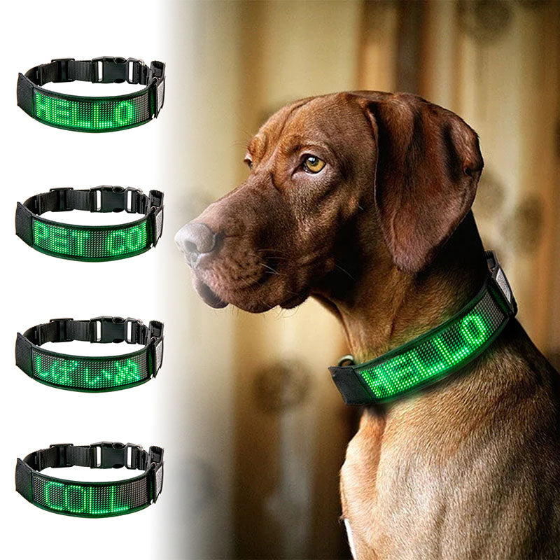 fles Stralend Astrolabium LED Dog Collar Light Flash Leopard Collar Puppy Night Safety Pet Recha –  Leadleds