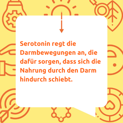 Serotonin Darm