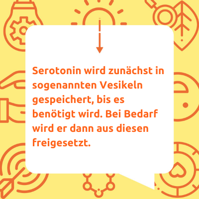 Serotonin Hemmer