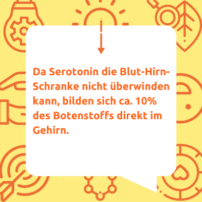 Zu viel Serotonin Symptome