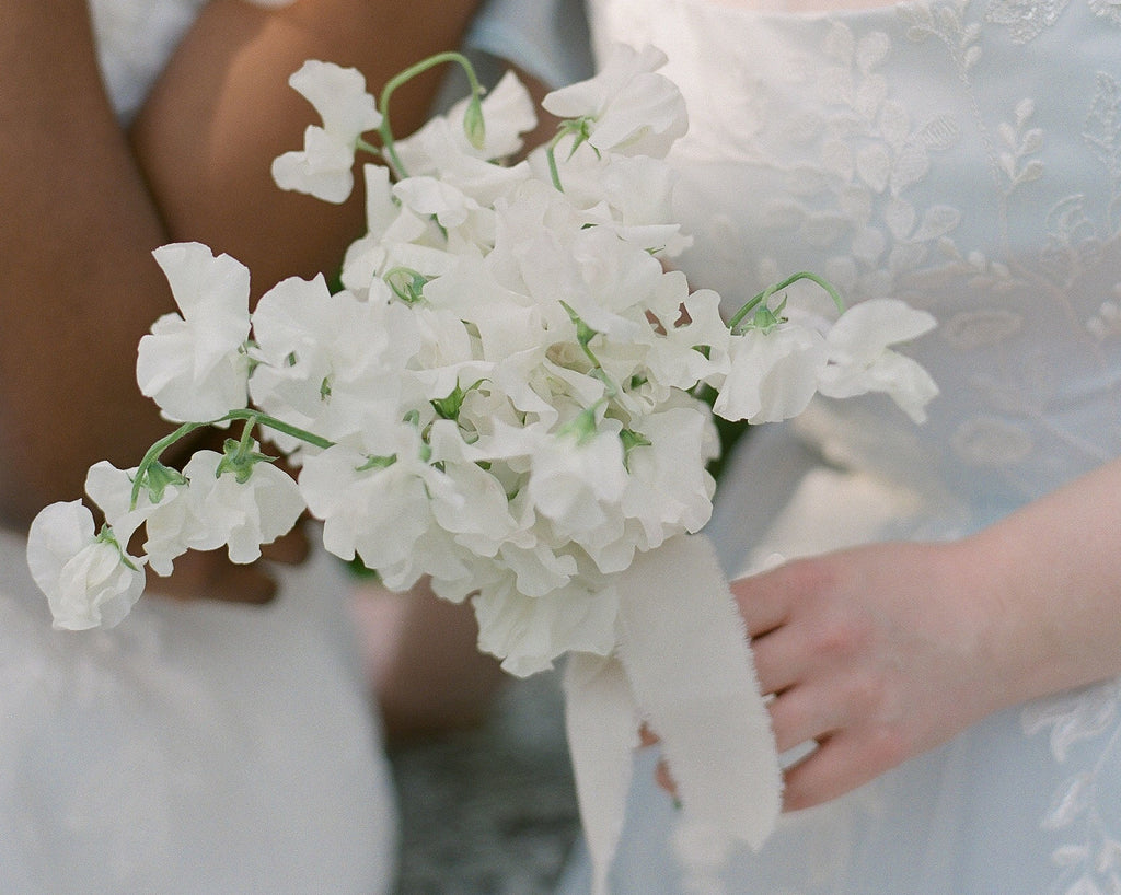 Model is holding a bouquet of white sweet pea flowers