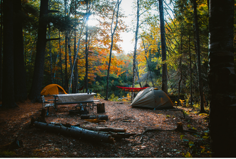 Tents deep in woods