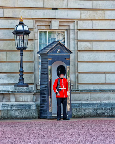 Red Coat