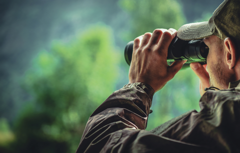 Birdwatching with binoculars