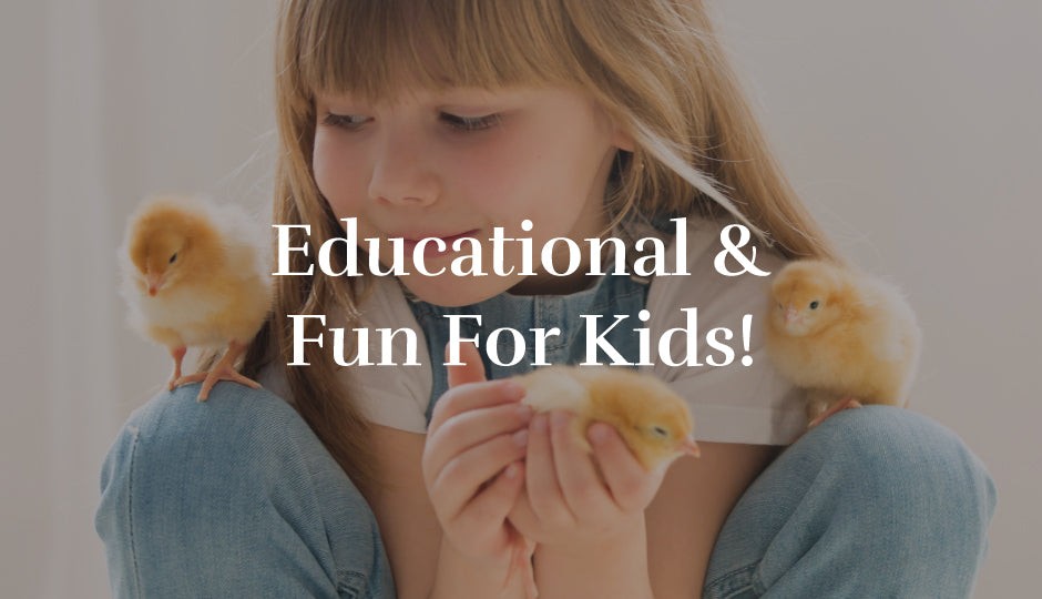 Educational & Fun For Kids!