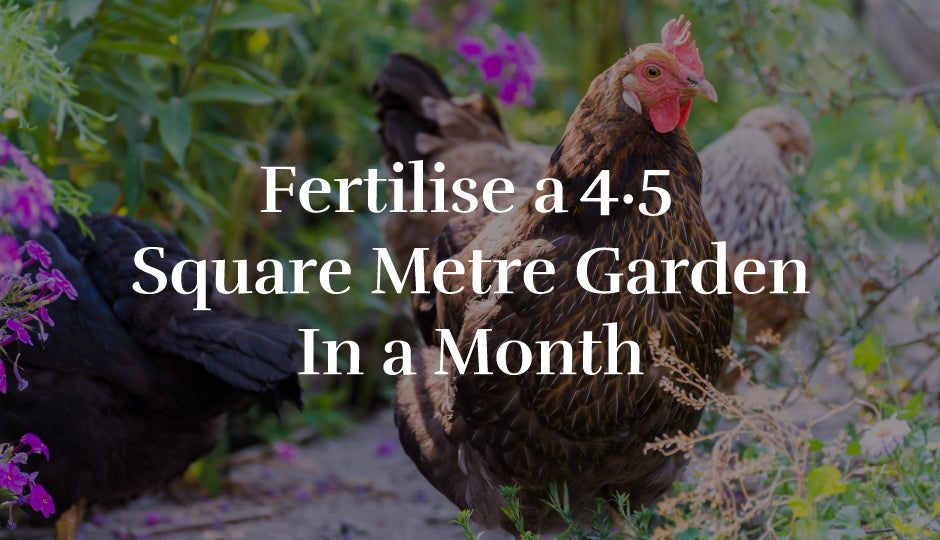 Fertilise a 4.5 Square Metre Garden In a Month
