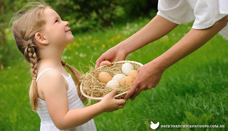 collecting-eggs-is-a-delightful-chore-for-children