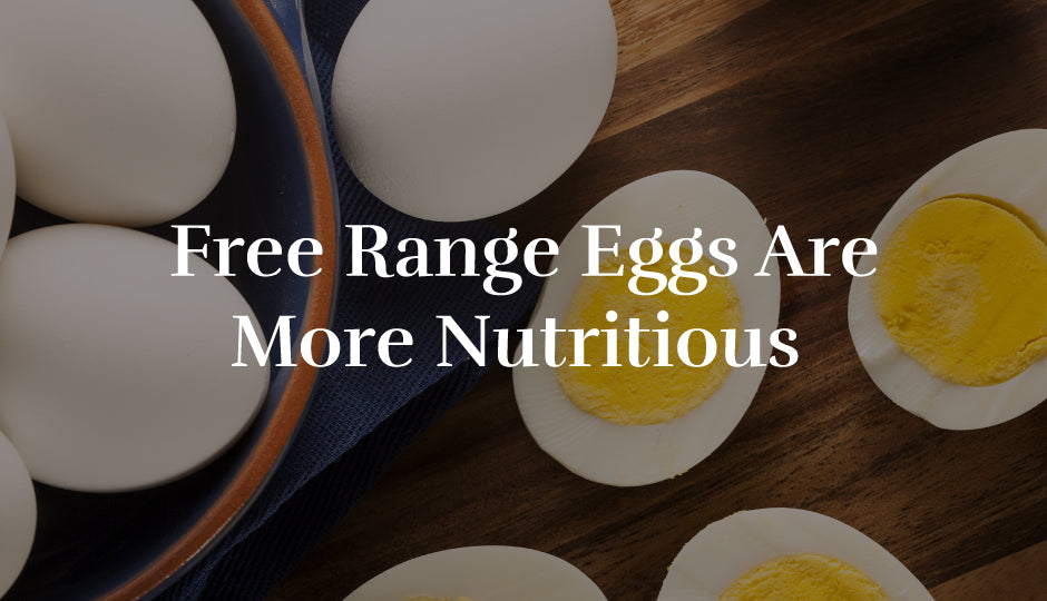 Free Range Eggs Are More Nutritious