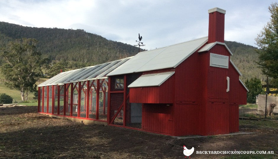 Painting Your Chicken Coop Ideas And Photos