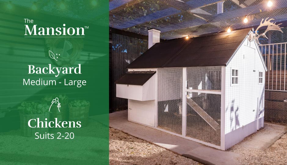 mansion chicken coop fits 2 to 20 hens
