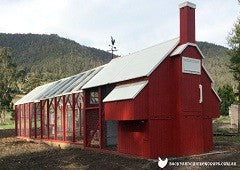 red painted mansion backyard chicken coop