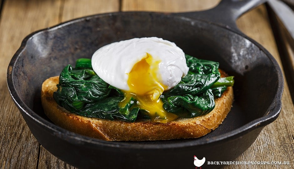 poached-eggs-over-spinach