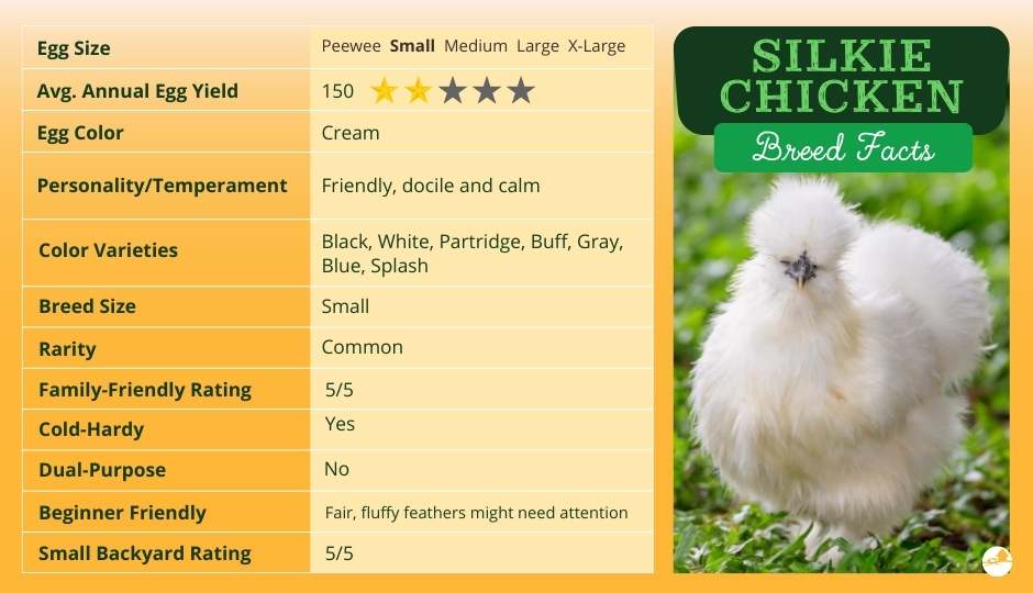 silkie breeds