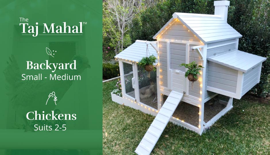 the taj mahal chicken coop with pretty accessories and fairy lights