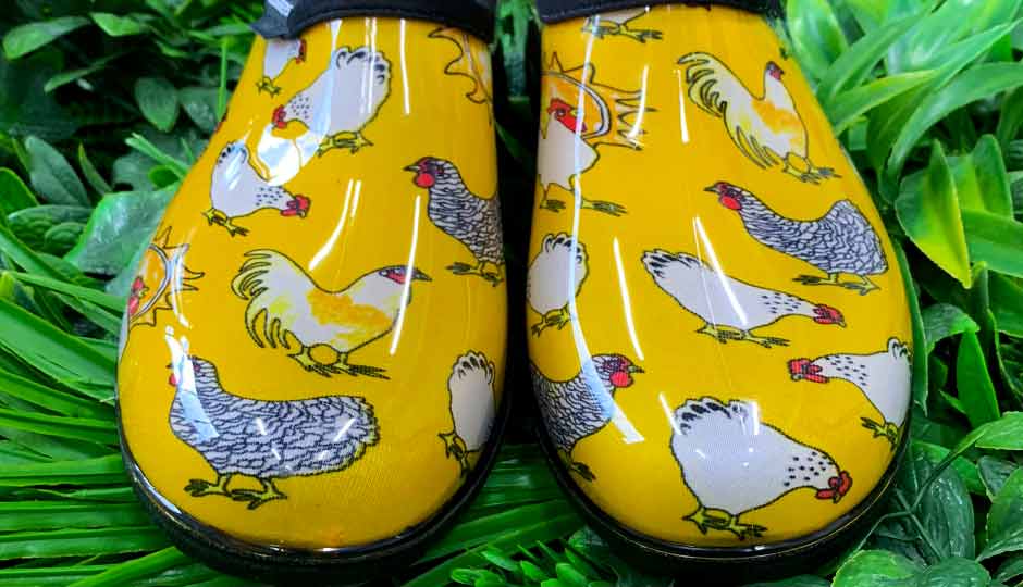 chicken gumboots