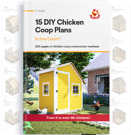 Building A Chicken Coop Ebook - Urban Hobby Farmer