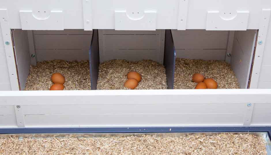 Free Chicken Coops Plans: Chicken Coop Out Of A Nesting Boxes - Nesting Boxes With Eggs On BeDDing 72261fDf 5898 4b6c Afcb 6caf1e058f14 1000x