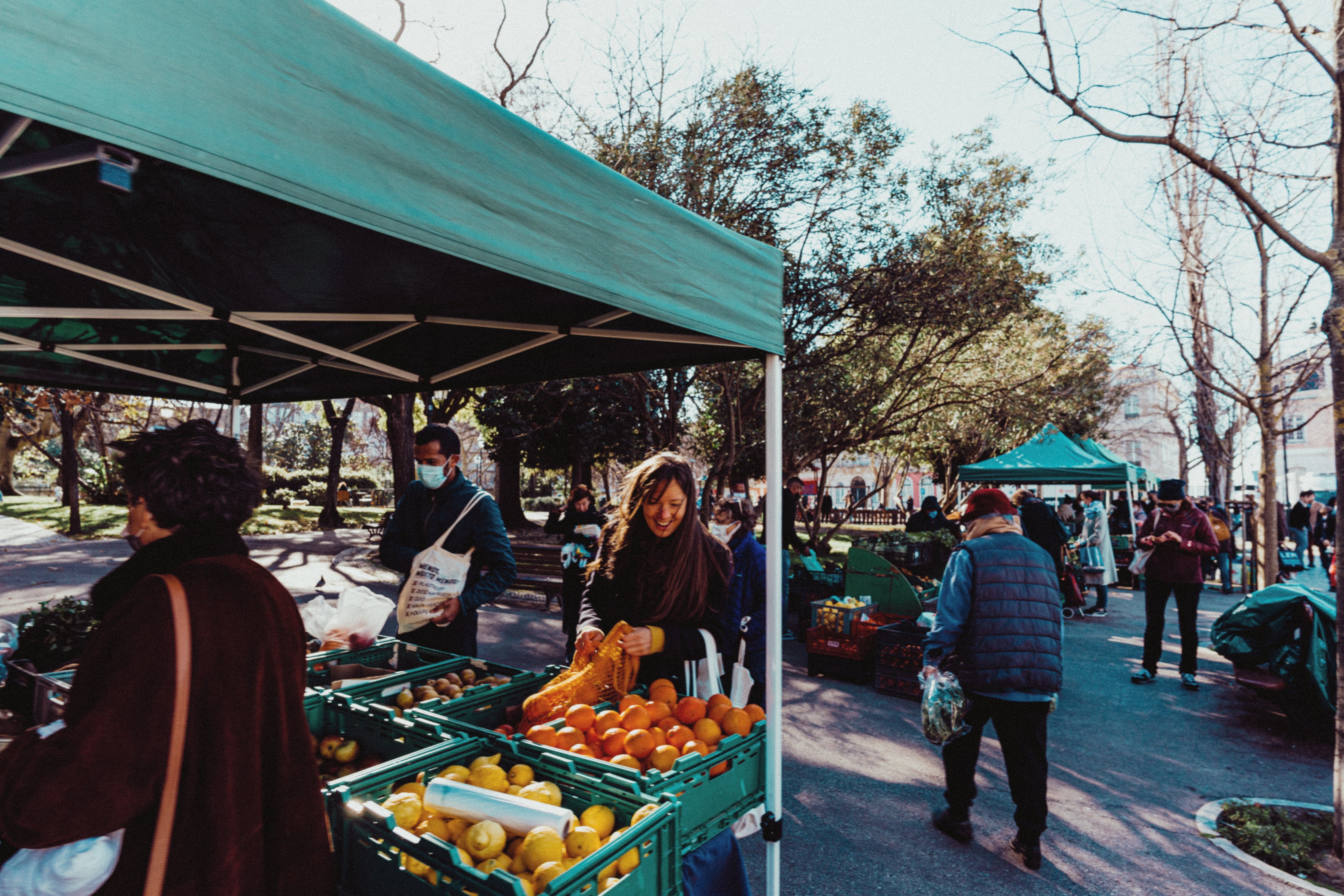 canopy tents for farmers markets