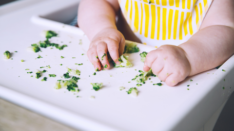 main-bébé-mange-brocolis-sur-la-table
