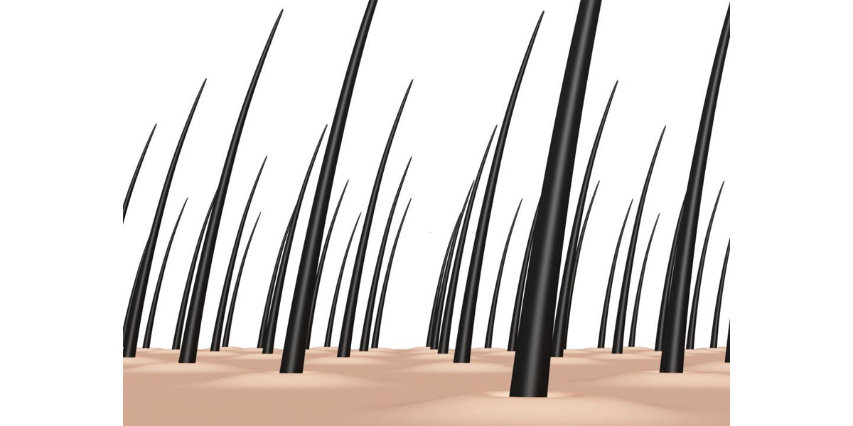 Enhancing the growth of hair follicles using Bare Anatomy hair smoothing serum