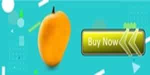 Alphonso Mango Online in Delhi